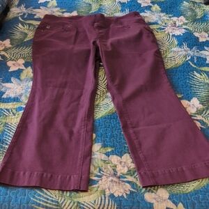 Belle by Kim Gravel Flare Pants in Rich Purple
